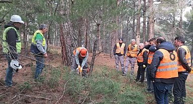 Orman işçileri Kazdağları'nda sınav için ter döktü