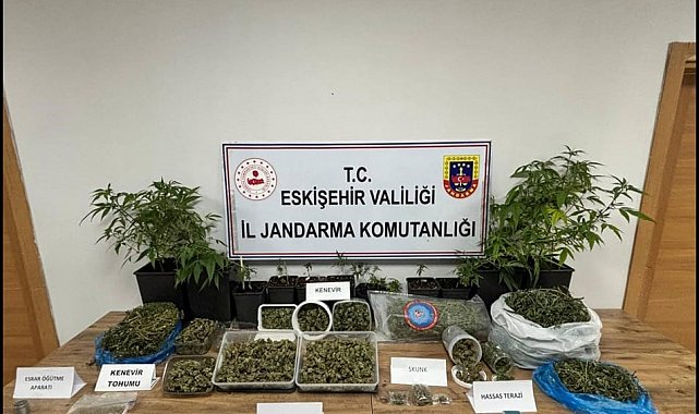 Ormanda uyuşturucu ticaretine jandarma engeli: 1 tutuklama