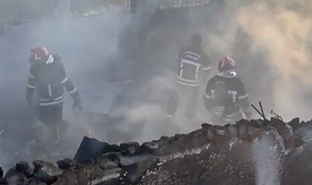 Osmaniye'de çiftlikte yangın: 8 koyun ve 120 kümes hayvanı telef oldu