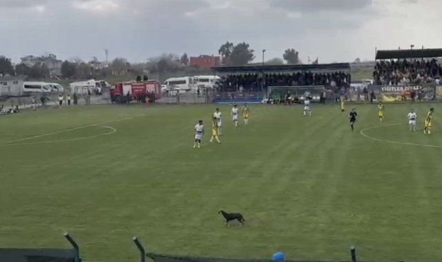 Osmaniye'de maça beklenmedik misafir