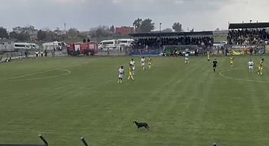 Osmaniye'de maça beklenmedik misafir