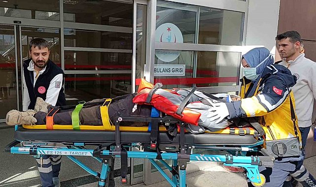 Otomobil reklam direğine çarptı:3 yaralı