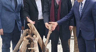 Patnos'ta baharın coşkusu: Nevruz ateşi birlik için yandı