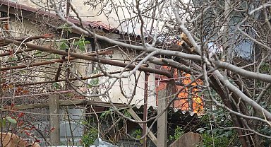 Pendik'te tek katlı ev alevlere teslim oldu