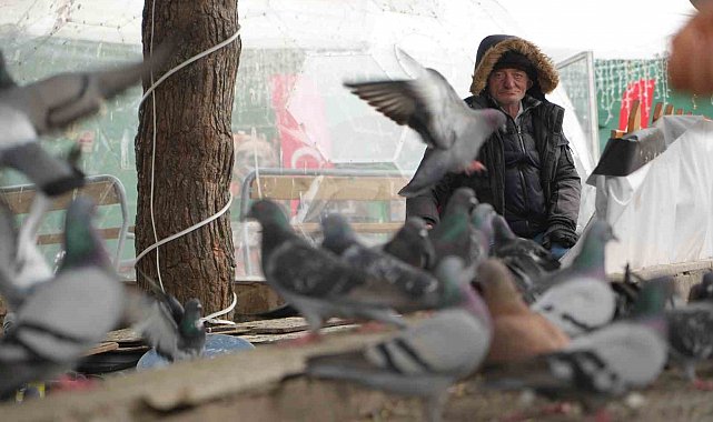 "Çocukların Kuşçu Dedesi" kuşlar için meydanı terk etmiyor