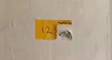 "Polisiz" diyerek eve giren şüpheliler anne ile oğlunu vurdu