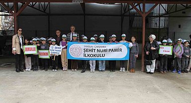 "Türkiye'nin Gücü Orman" etkinliği