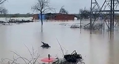 Sağanak Bursa'yı vurdu: Tarlalar göle döndü, hayvanlar mahsur kaldı
