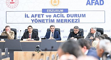 Sahipsiz hayvanlar yakın takipte