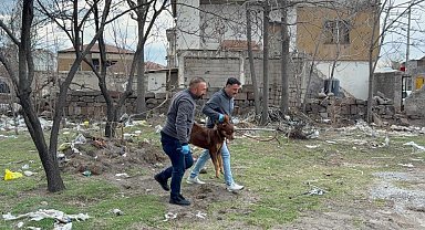 Saldırgan köpeğin resmî olmayan sahibi ortaya çıktı