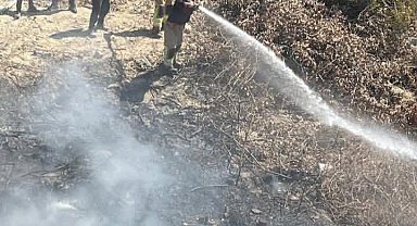 Samandağ'da bahçede çıkan yangın büyümeden söndürüldü