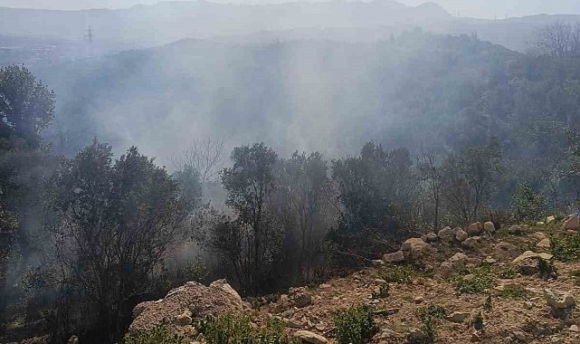 Samandağ'da ormanlık alanda çıkan yangın kısa sürede kontrol altına alındı