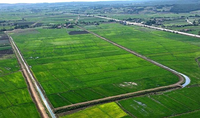 Samsun'da bozulan tarım arazileri cezasız kalmadı: 48 işlem uygulandı
