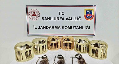 Şanlıurfa'da kaçak keklik avcıları suçüstü yakalandı