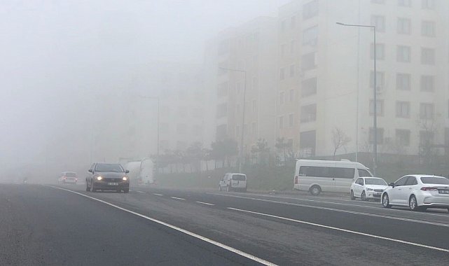 Şanlıurfa'da yoğun sis etkili oldu