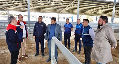 Şap hastalığı nedeniyle kapalı olan hayvan pazarı yeniden açılıyor