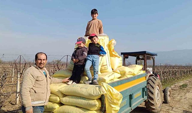 Sarıgöl bağlarında gübreleme çalışmaları başladı