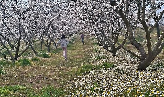 Sarıgöl'de kartpostallık manzara