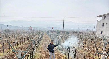 Sarıgöl'de ölü kol hastalığıyla mücadele başladı