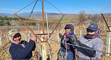 Sarıgöllü kadınlar 8 Mart'ı bağlarda çalışarak kutladı