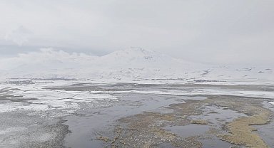 Sarısu sazlıkları ile Süphan Dağı'nın karlı zirvesi göz kamaştırıyor