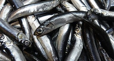 Savaş halindeki ülke ihracatta ilk sırayı aldı