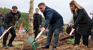 Şeyh Edebali'nin vefatının 700. yıl dönümünde 700 çınar toprakla buluştu