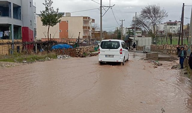 Siirt'te sağanak yağış hayatı olumsuz etkiledi
