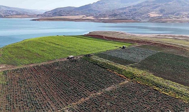 Siirt'te su tahliyesi uyarısı