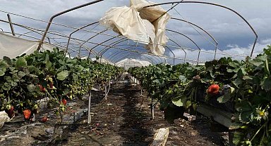 Silifke'de hortum seraları yerle bir etti