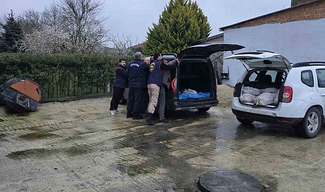 Silivri'de satışa hazır 306 kilo at eti ele geçirildi