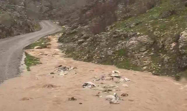 Silvan'da sağanak taşkınlara neden oldu