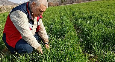 Simav'da tarımsal çalışmalar sürüyor