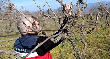 Simav'da yem bitkileri ve hububat ekili alanlarda verim çalışması yapıldı