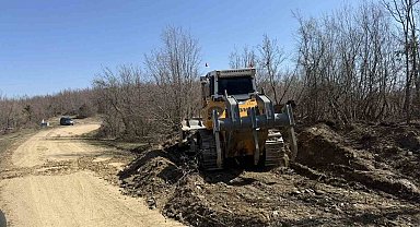 Sinop'a yeni orman nakliye güzergahı