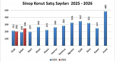 Sinop'ta konut satışları arttı