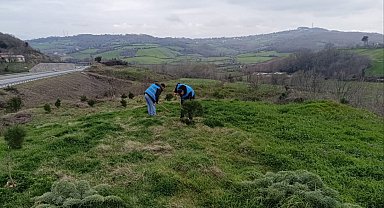 Sinop'ta yükümlülerden geleceğe nefes