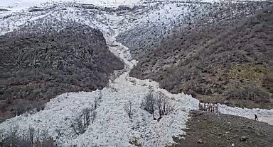 Şırnak'ta çığ düşme anı kameraya yansıdı