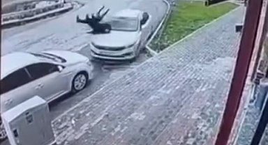 Şırnak'ta otomobil yayalara çarptı: 2 yaralı