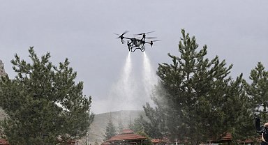 Sivas'ta keneye karşı havadan karadan mücadele