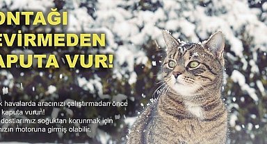 Soğuktan korunmak için girdiği araçta sıkışan kedi kurtarıldı