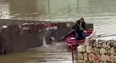 Su taşkınında evde mahsur kalan köpek, vatandaşların bindiği botla kurtarıldı
