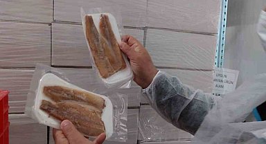 Su ürünleri üretimi yapılan tesislerde denetim