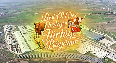 Suluova Besi OTB'de 15 bin 650 büyükbaş kapasite, bin 500 kişiye istihdam