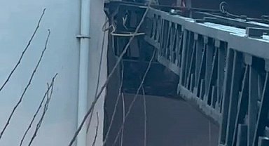 Takıldığı ipte asılı kalan güvercin kurtarıldı