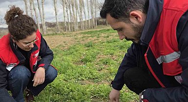 Tarım arazilerinde hastalık ve zararlı kontrolleri yapıldı