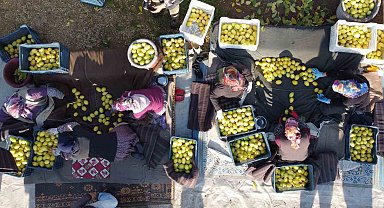 Tarım-ÜFE yıllık yüzde 40,10 arttı