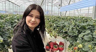 Tarsus'ta topraksız tarımda ilk çilek hasadı yapıldı