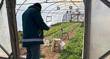 Tavşanlı'da KOBÜKS kapsamında sera kontrolleri