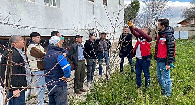 Tavşanlı'da meyve üreticilerine budama eğitimi
